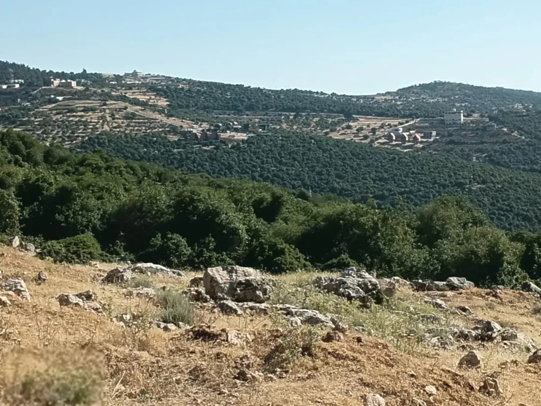 اذا كنت تبحث عن التميز