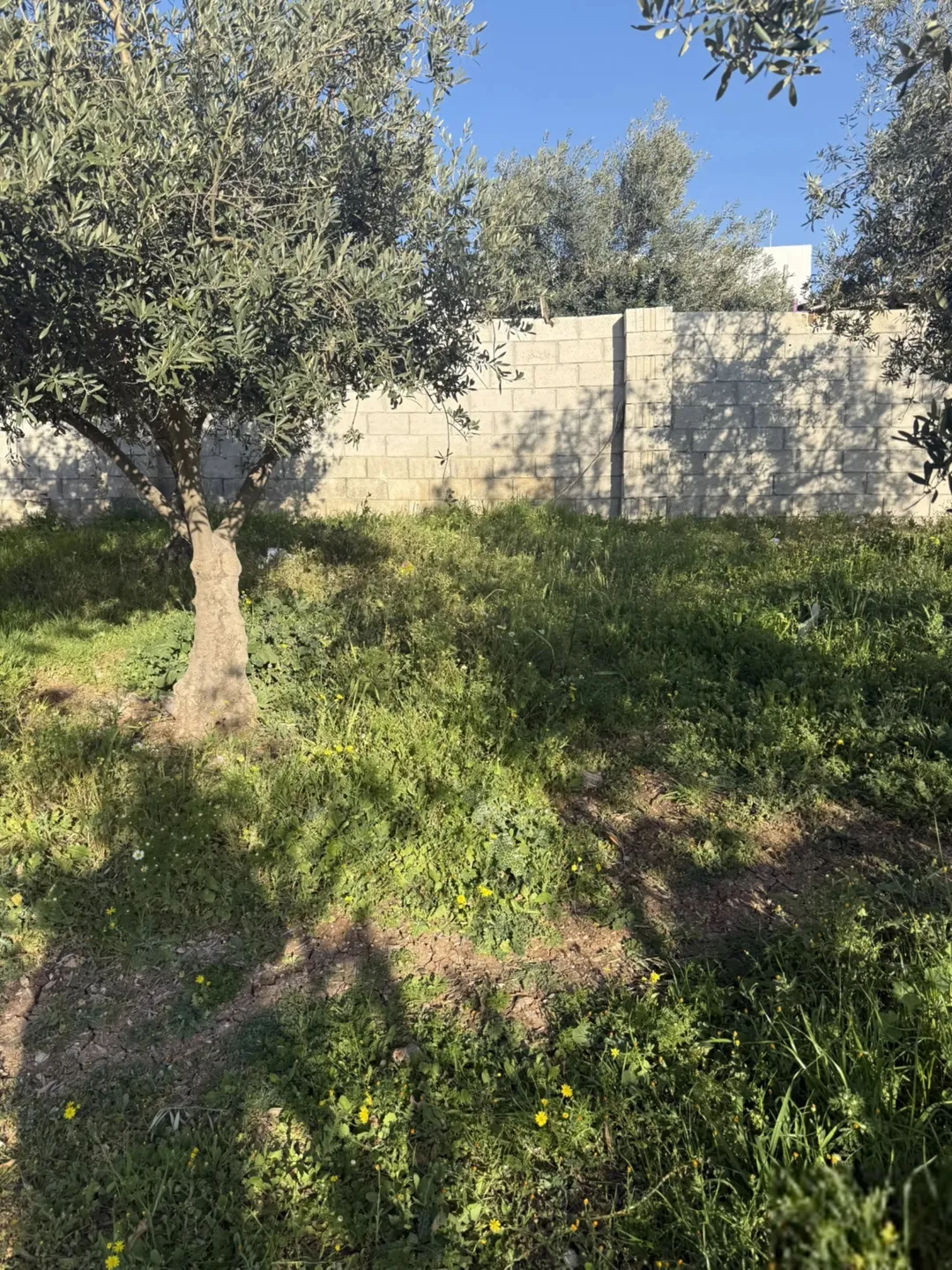 أرض سكنية مميزة في حسبان مقابل كلية القيادة والأركان للبيع