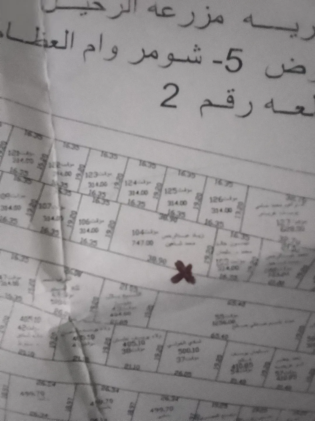 ارض للبيع مشترك منظم للبيع