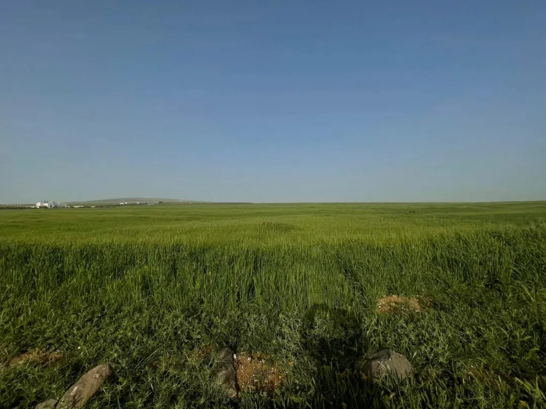 للبيع قطع ارض محافضة الكرك فقوع الحنو