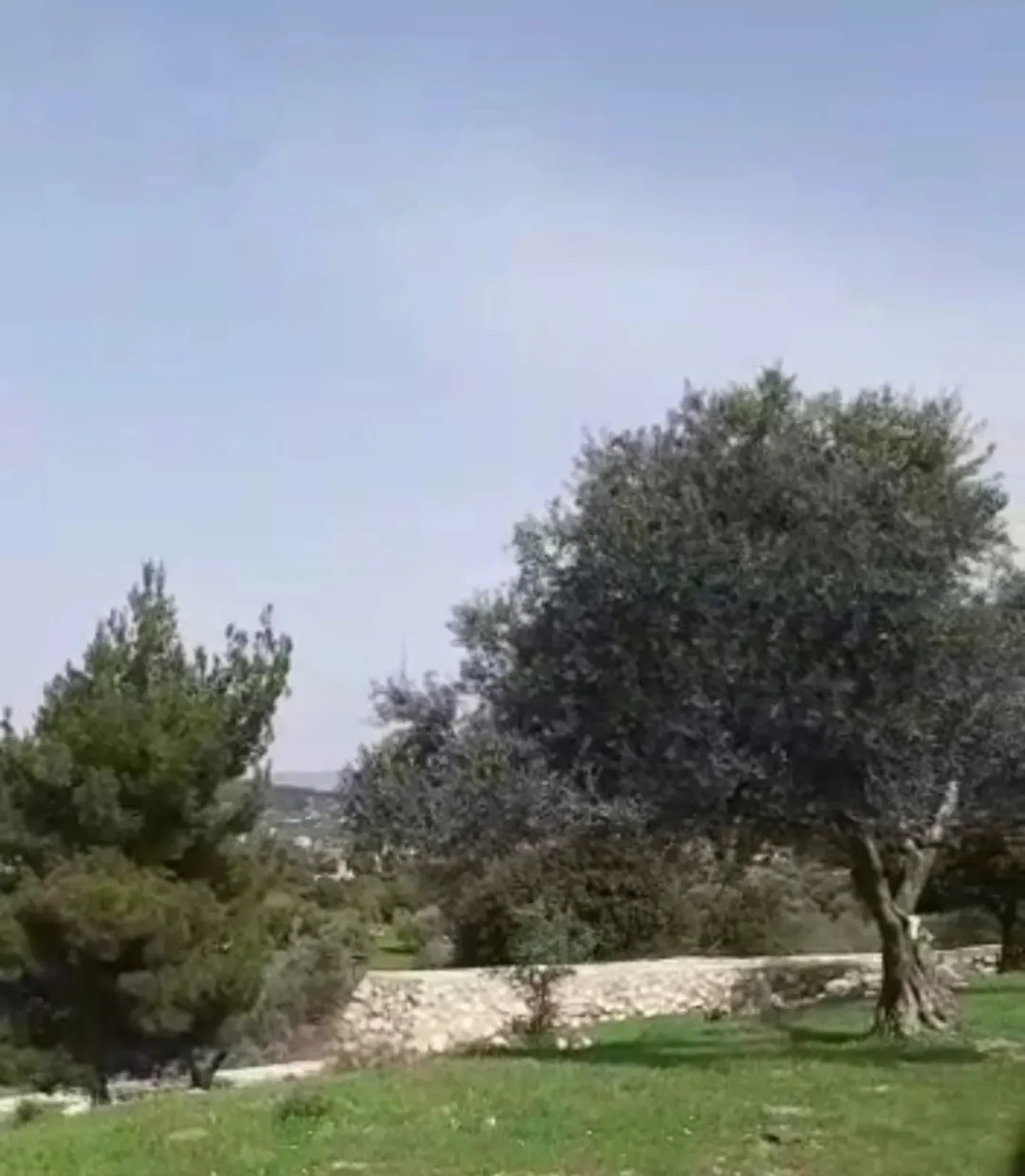 أرض للبيع في منطقة زي – السلط