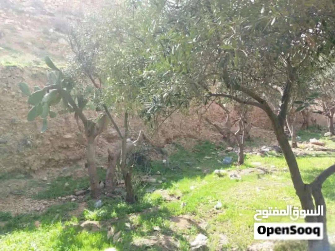 أرض للبيع،ماركا الشمالية، الونانات، جبل الأمير فيصل ، وادي القمر ، مقابل مستودع غاز احمد ابو نحلة،