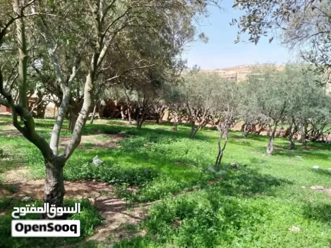 أرض للبيع،ماركا الشمالية، الونانات، جبل الأمير فيصل ، وادي القمر ، مقابل مستودع غاز احمد ابو نحلة،