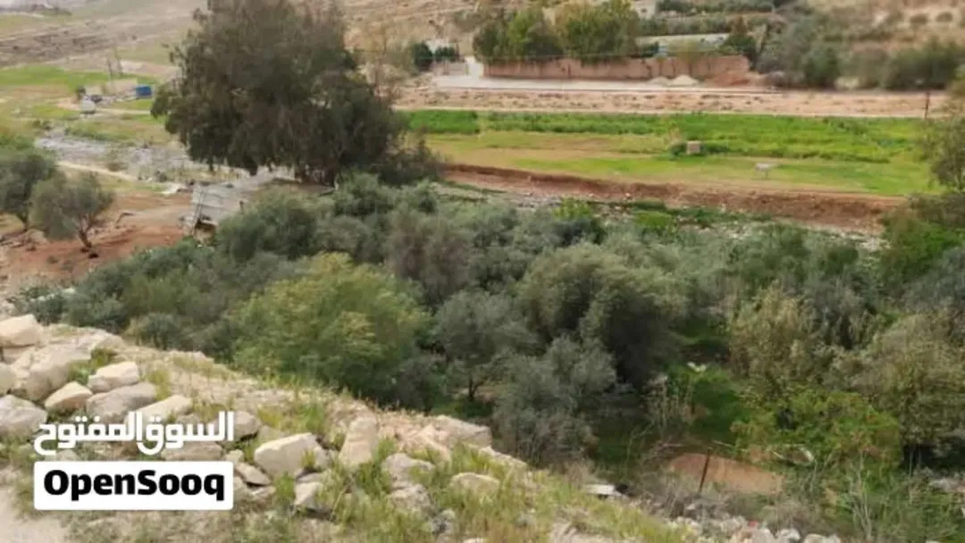 أرض للبيع،ماركا الشمالية، الونانات، جبل الأمير فيصل ، وادي القمر ، مقابل مستودع غاز احمد ابو نحلة،