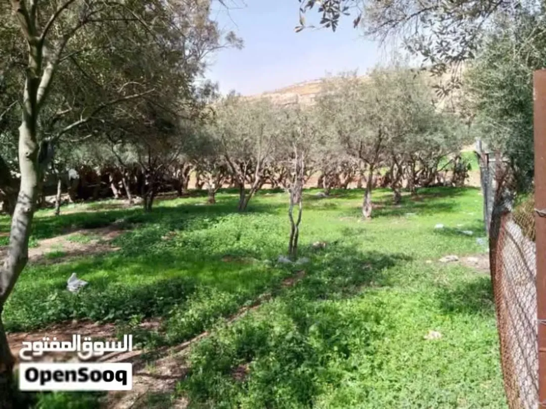 أرض للبيع،ماركا الشمالية، الونانات، جبل الأمير فيصل ، وادي القمر ، مقابل مستودع غاز احمد ابو نحلة،