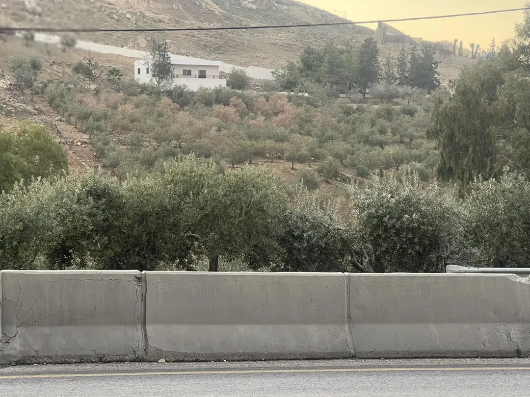 مزرعة 10 دونم في منطقة الرمان شارع جرش عمان