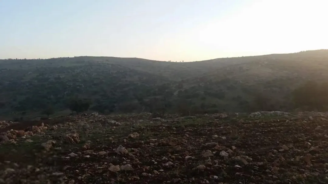 أرض زراعية مميزة للبيع في عجلون – برقش خلف جامعة عجلون الوطنية