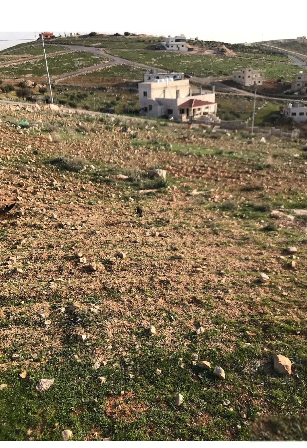 قطعة أرض مميزه مساحة 734م مربع للبيع مباشره في منطقه هادئه رجم الشوك قرب بيرين وشفا بدران