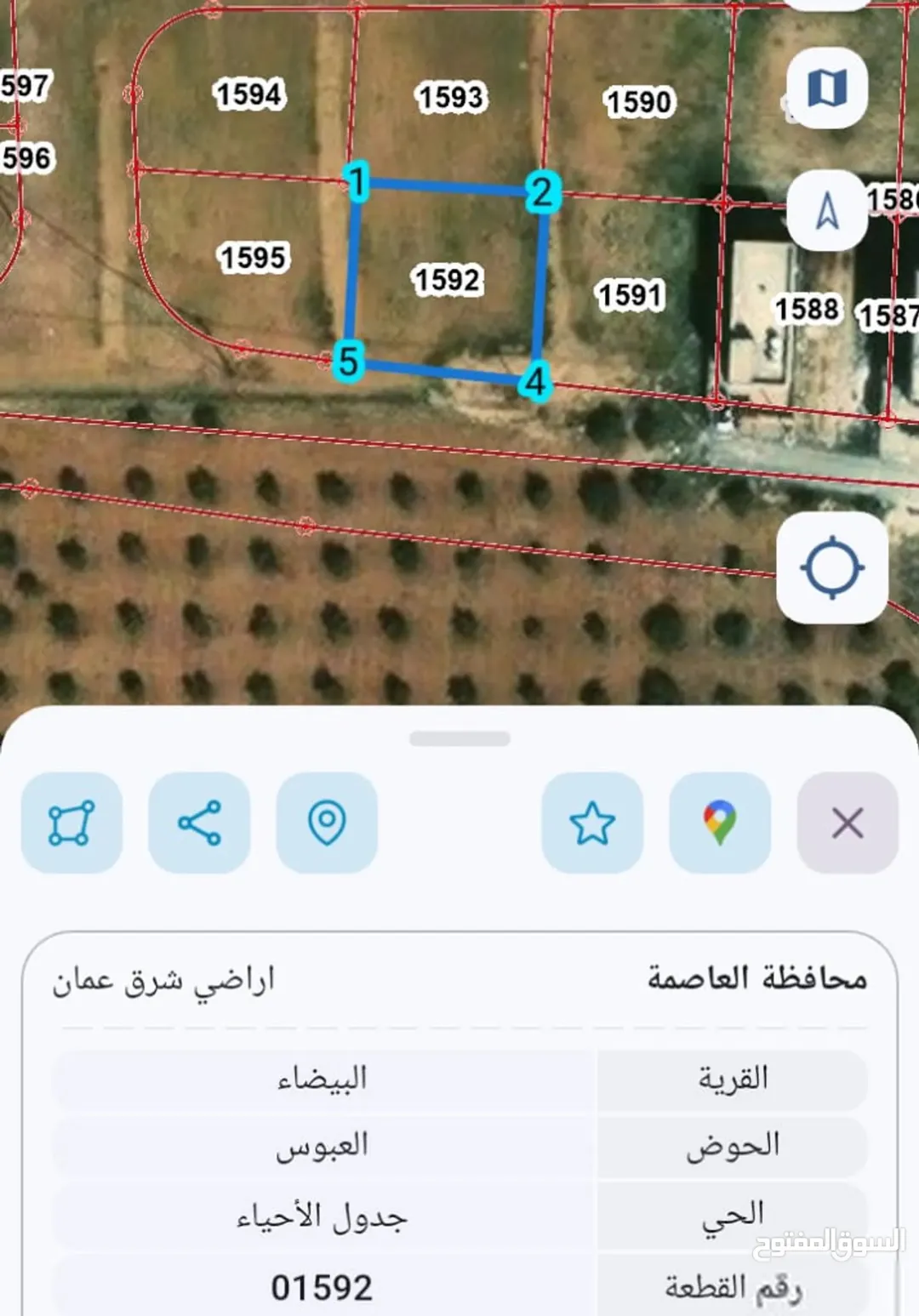 ارض للبيع في اجمل مناطق البيضاء حوض العبوس — صورة 5
