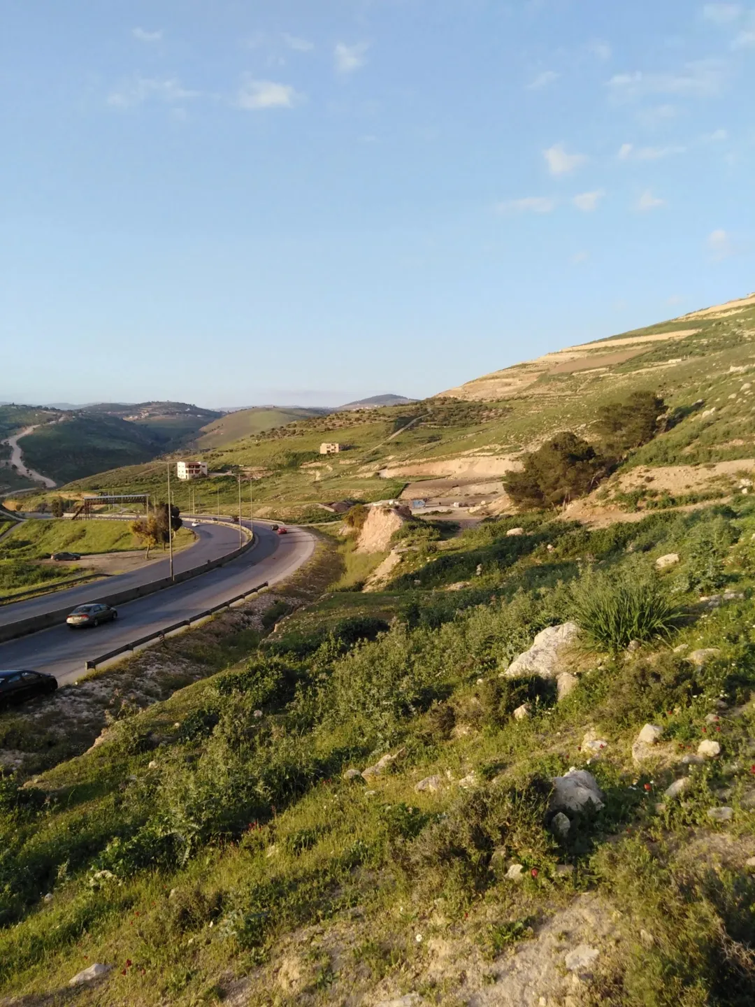4 دنمات واجهة على الشارع الرئيسي جرش عمان