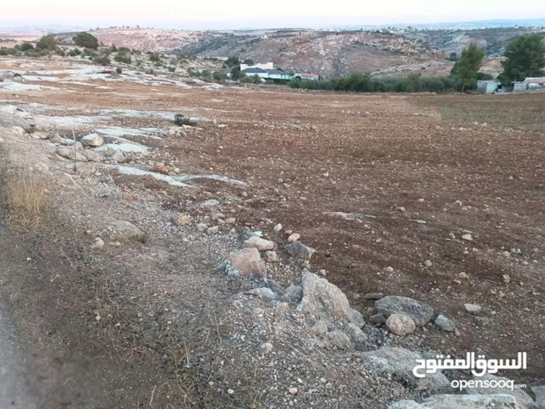قطعة أرض زراعية وإنشائية للبيع