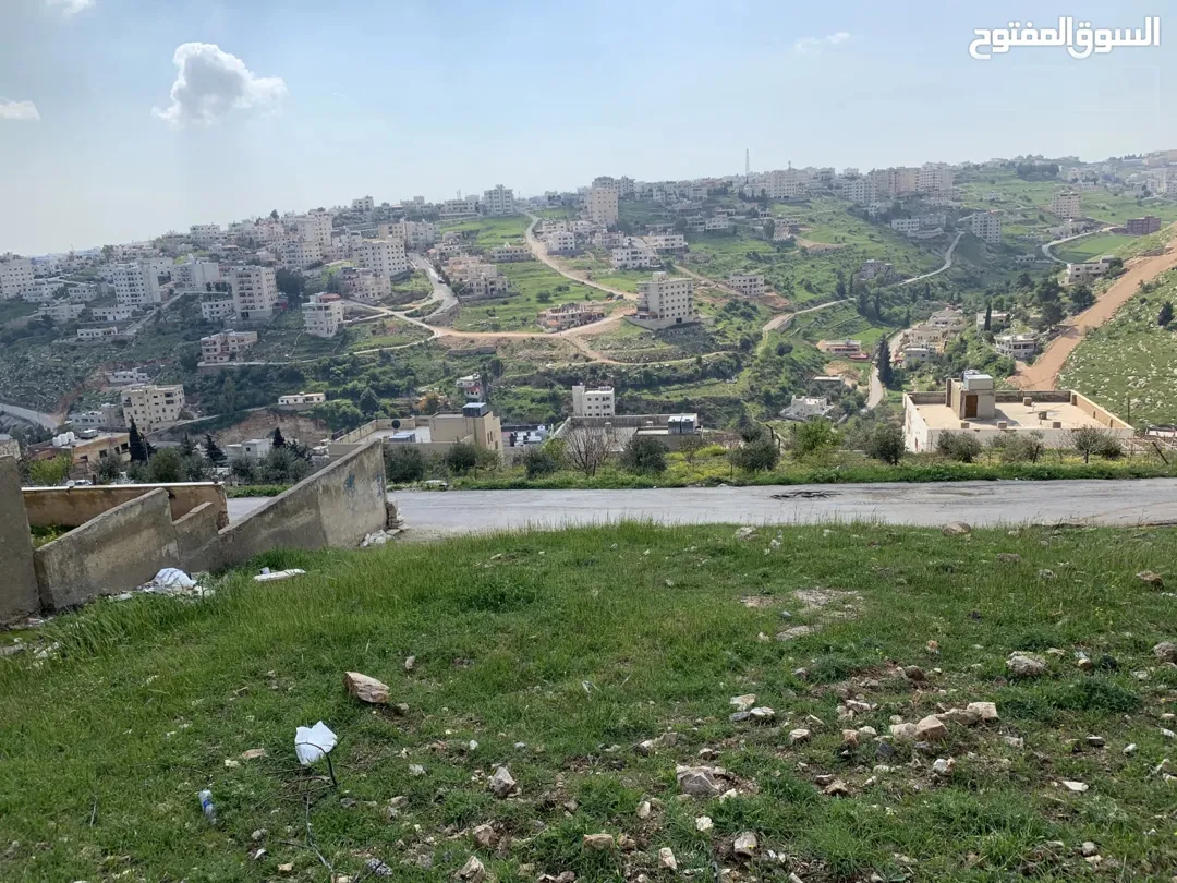 للبيع دونم أرض سكن (أ) في السلط / شفا العامرية