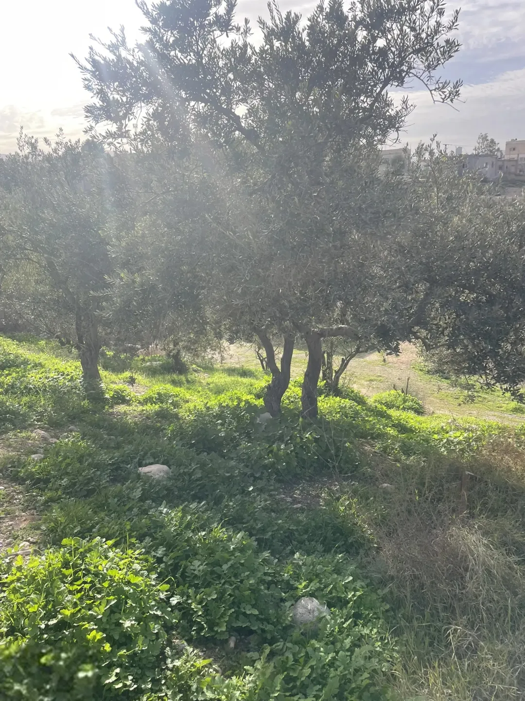 بيت للبيع في الزرقاء أرض مساحتها ثمانية دنانير