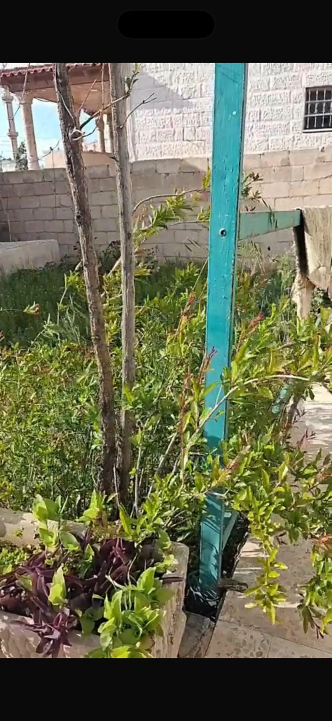 بيت للبيع في الزرقاء