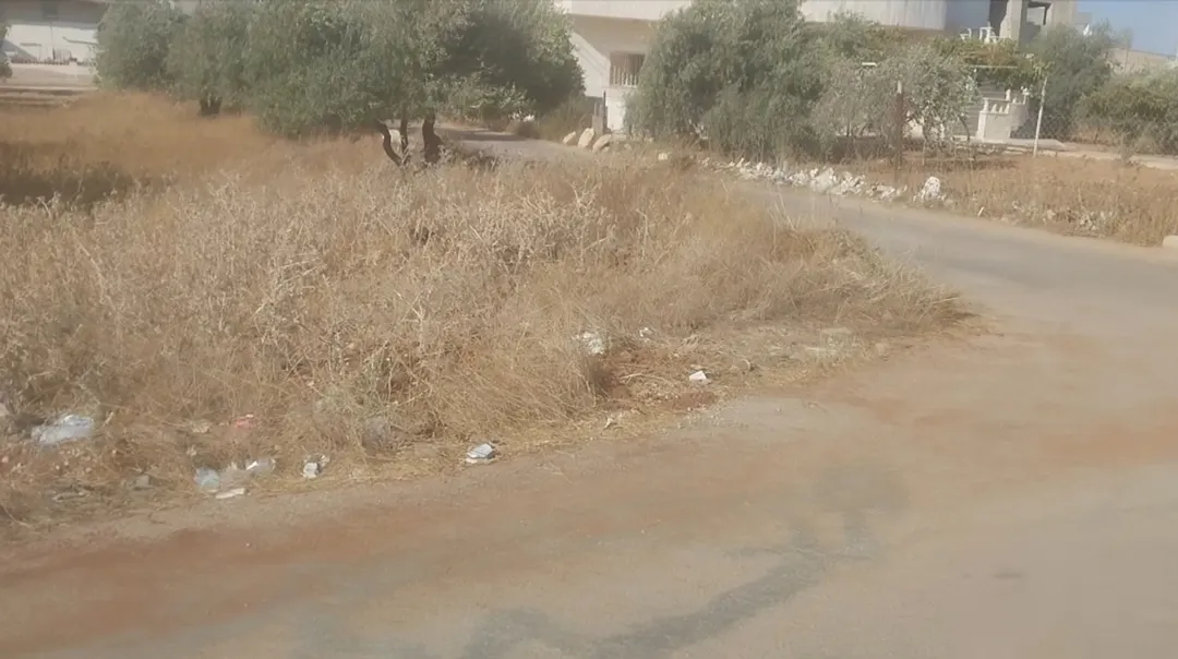ارض بسعر مغري تصلح للإسكانات وفلل — صورة 2