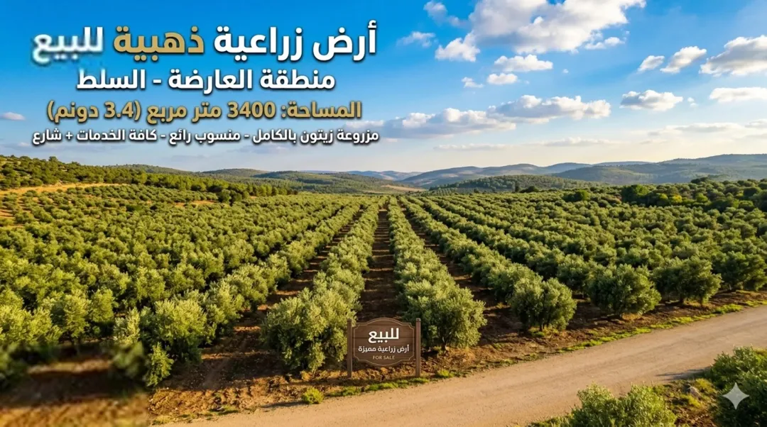 أرض زراعية للبيع في الصبيحي – السلط مساحة 3,400 م2 مزروعة بالزيتون