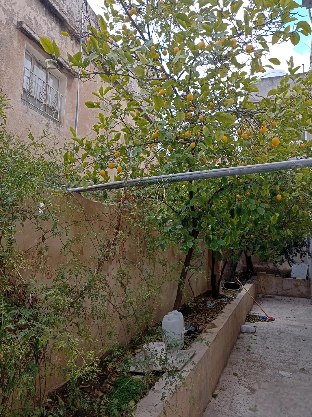 منزل مستقل على أرض تجارية للبيع في جبل النظيف – عمان