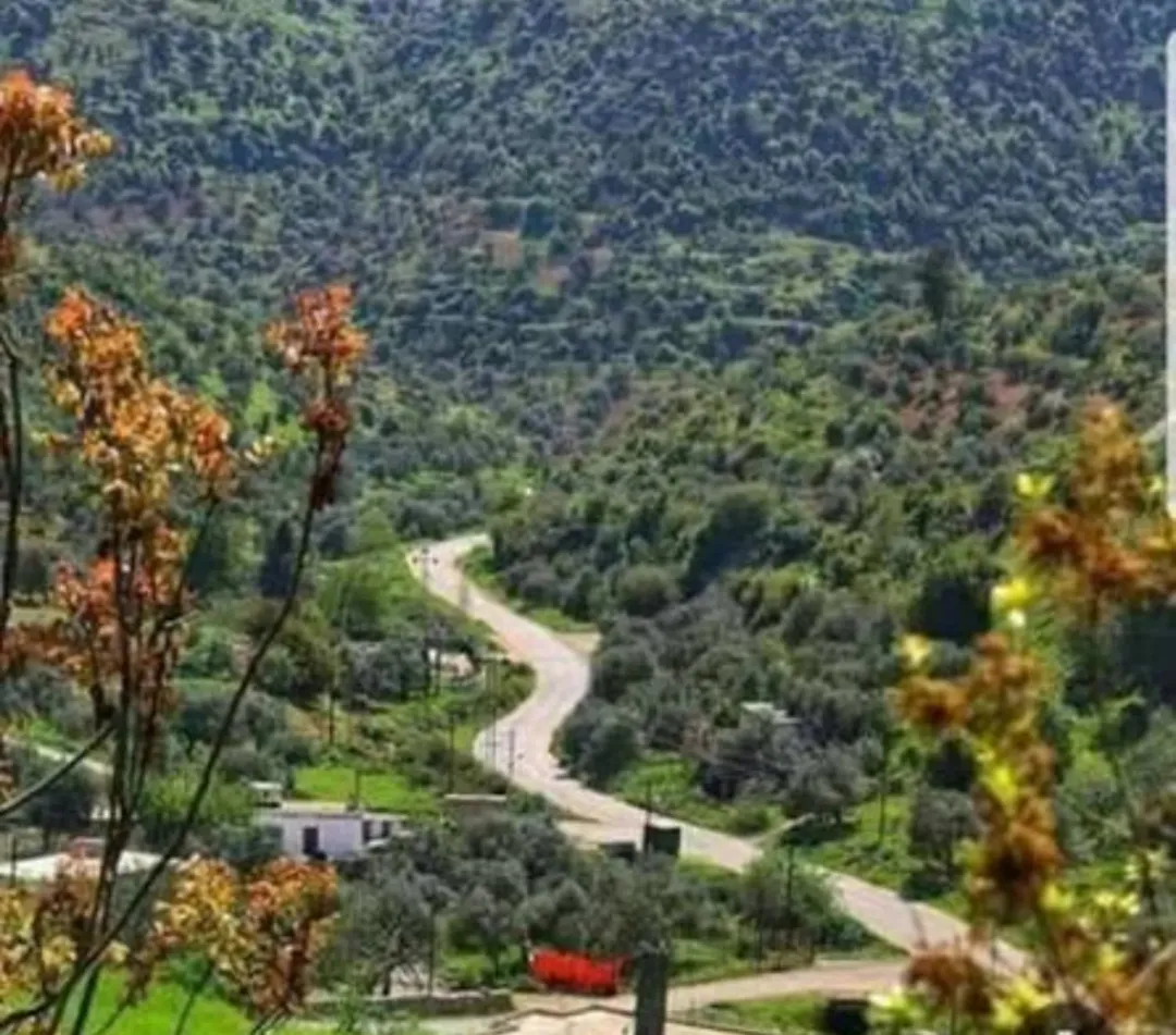 مزرعة في جرش ساكب قرب عجلون يوجد بيت