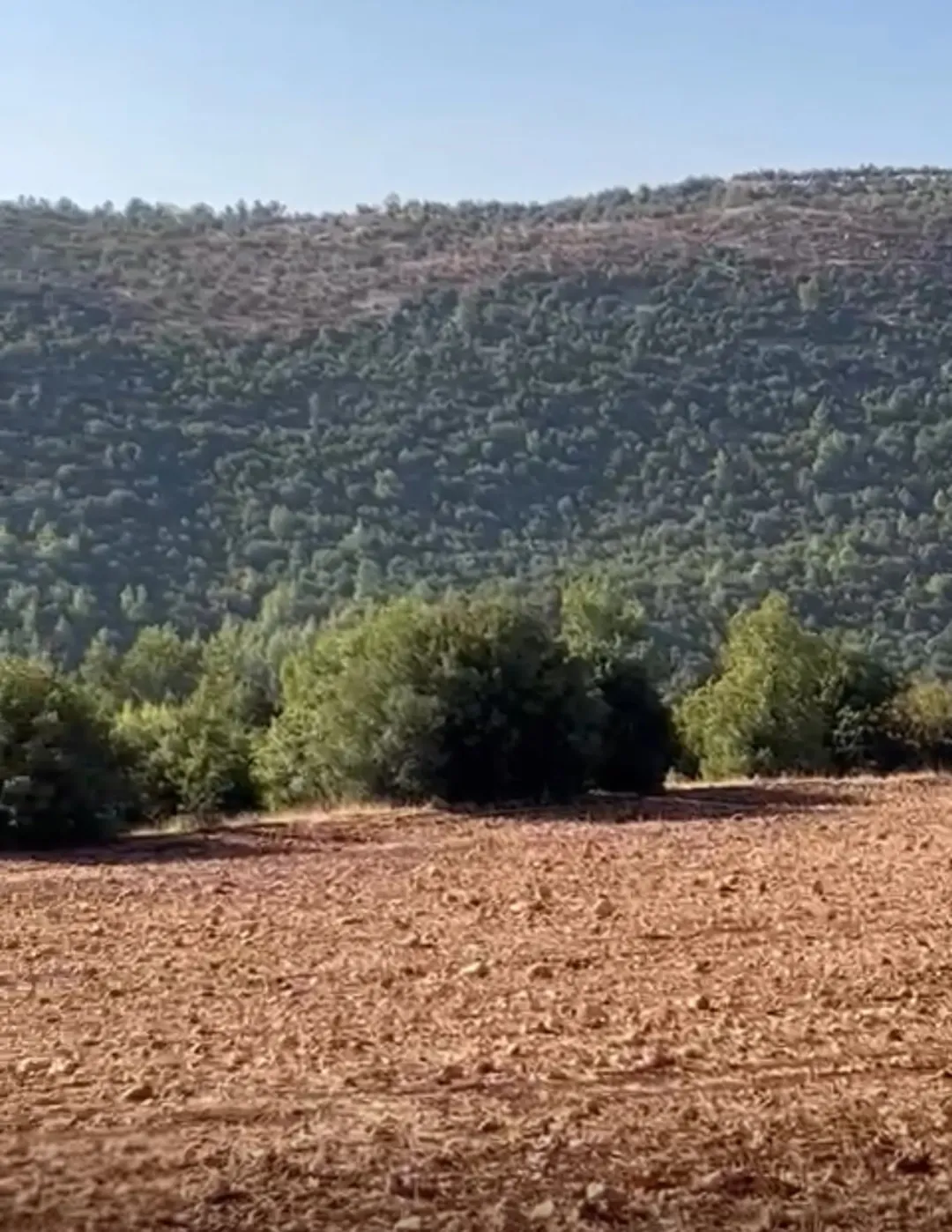 قطعة أرض مفروزة فاخرة محاطة بغابات وشاليهات