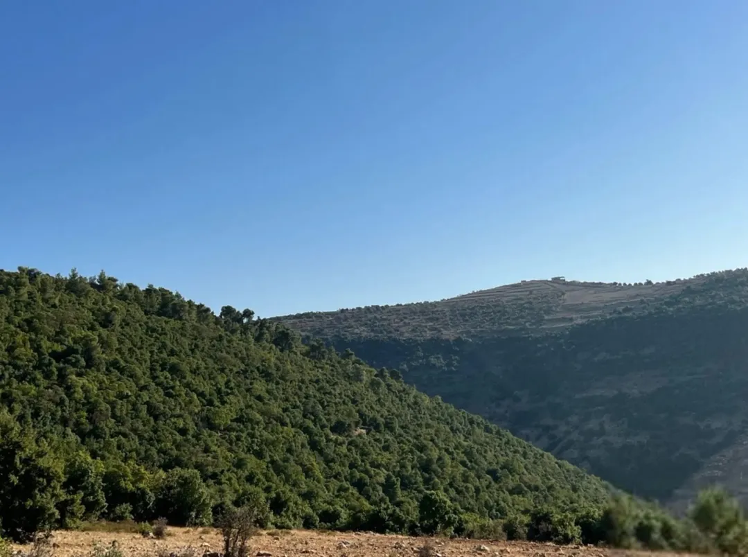قطعة أرض مفروزة فاخرة محاطة بغابات وشاليهات