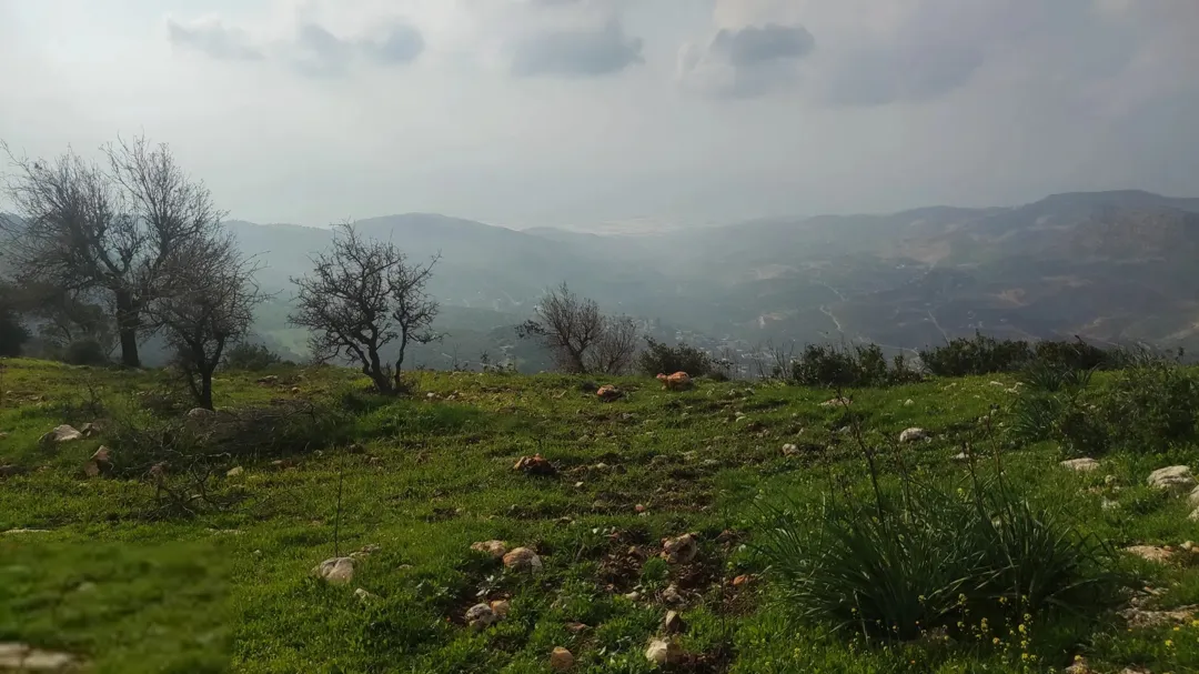 فرصة استثمارية مميزة في منطقة الجبل الأخضر بعجلون