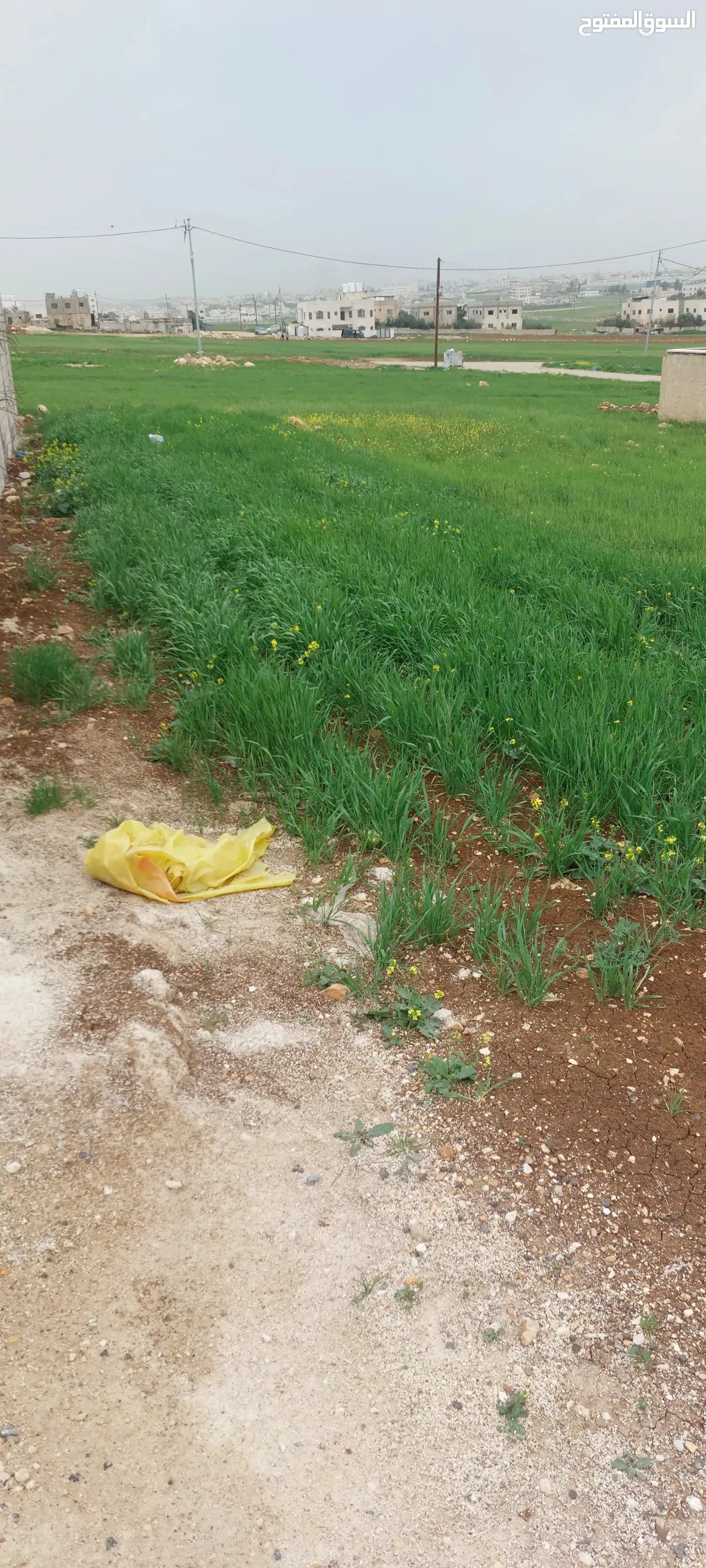 أرض سكنية مميزة للبيع في جاوا على شارعين
