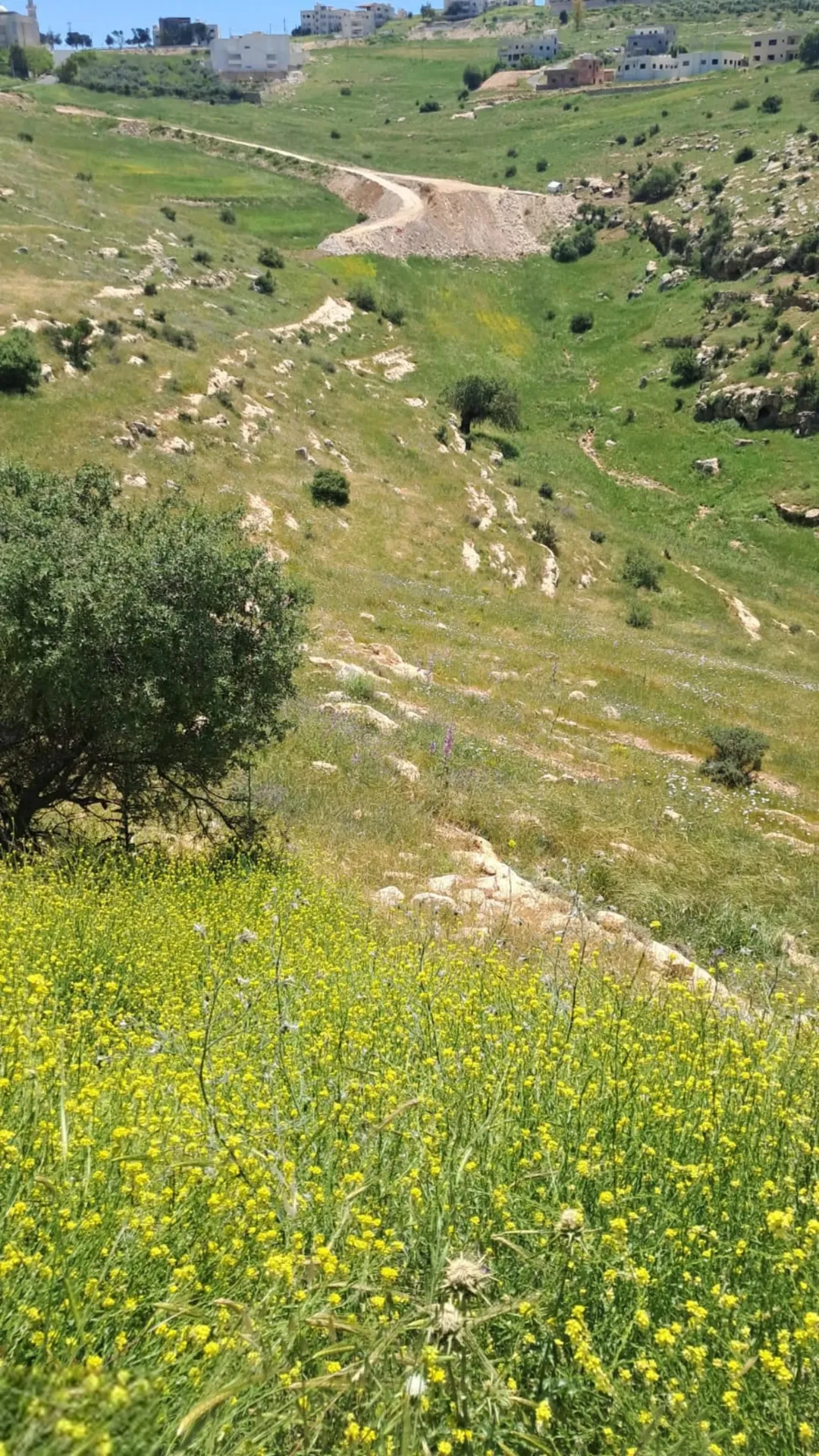 قطعة أرض زراعية مميزة في أم السوس