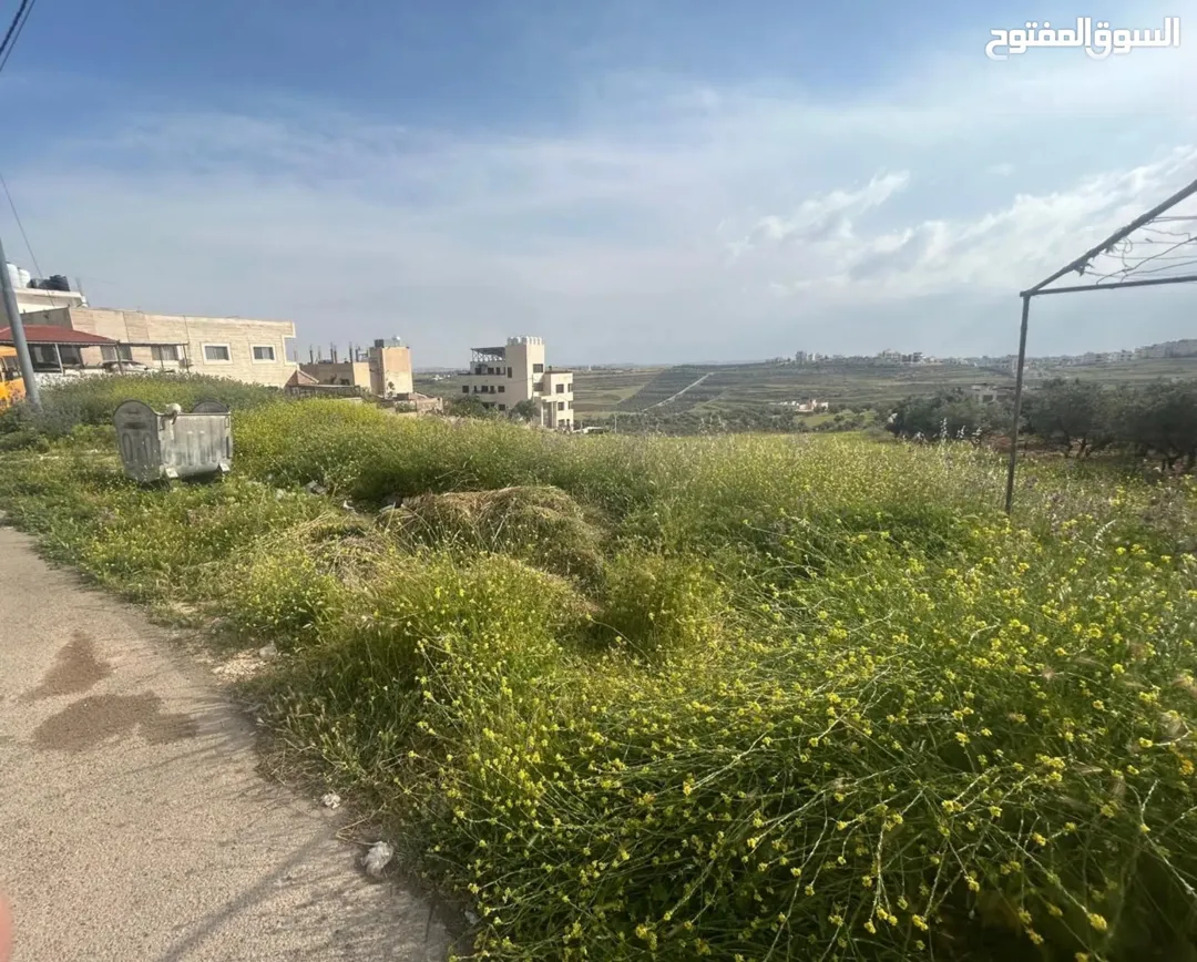 فرصة استثمارية أرض للبيع في ناعور الحويطي