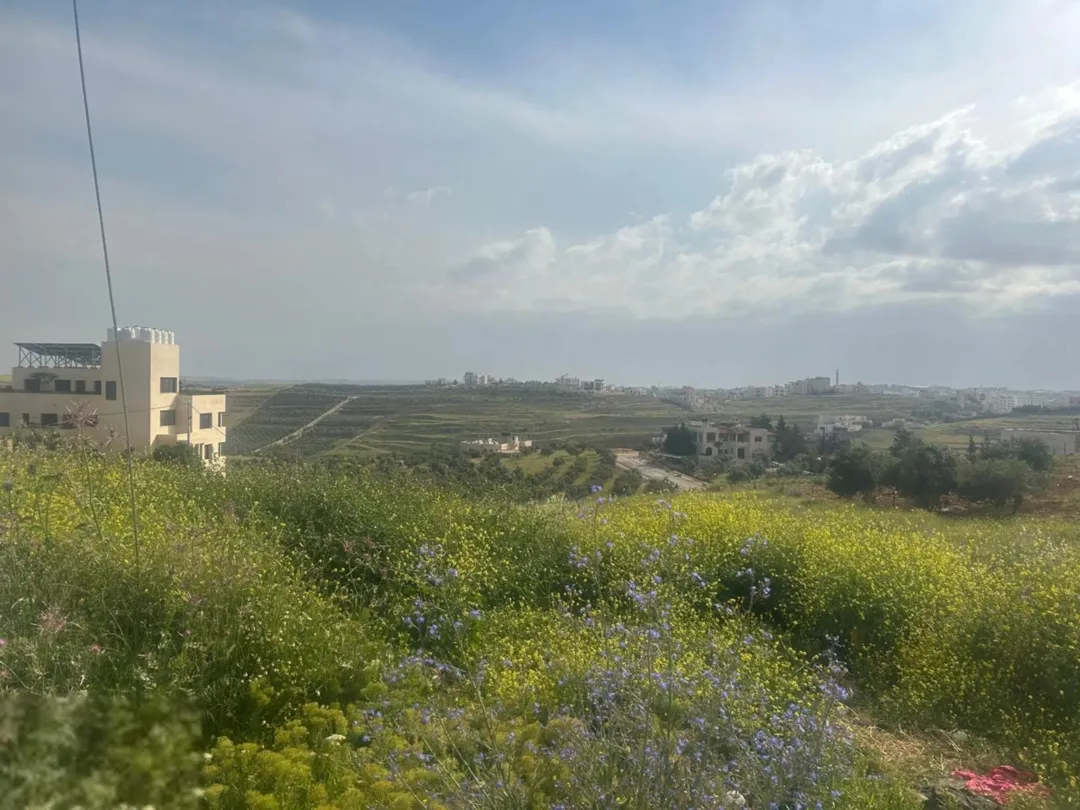 فرصة استثمارية أرض للبيع في ناعور الحويطي