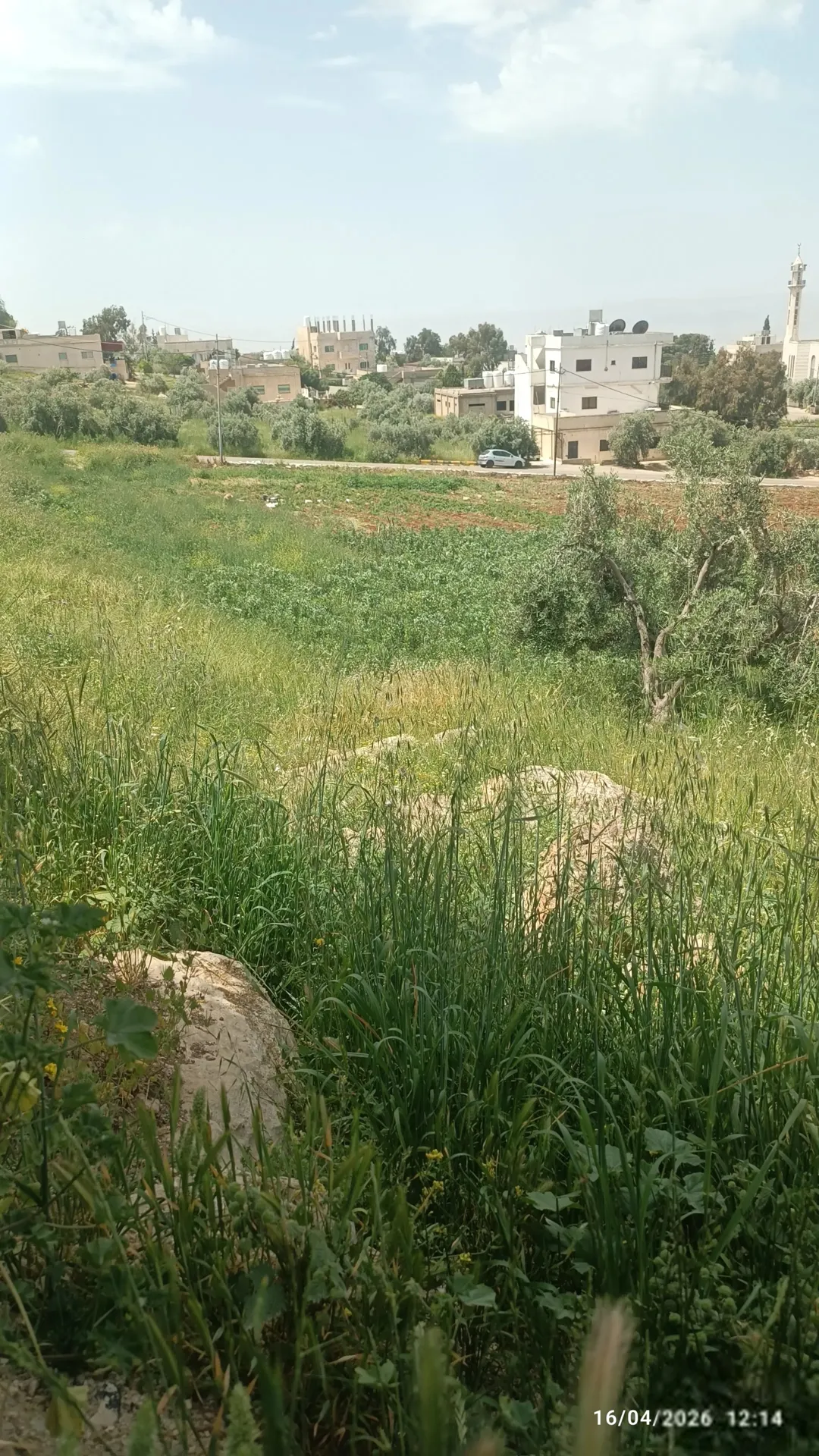 قطعتان مميزتان للبيع في منطقة عيرا