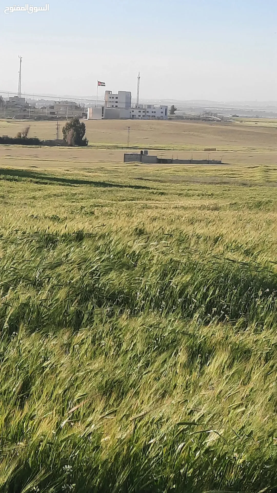 ارض للبيع طريق المطار /الجيزه حوض الموارس