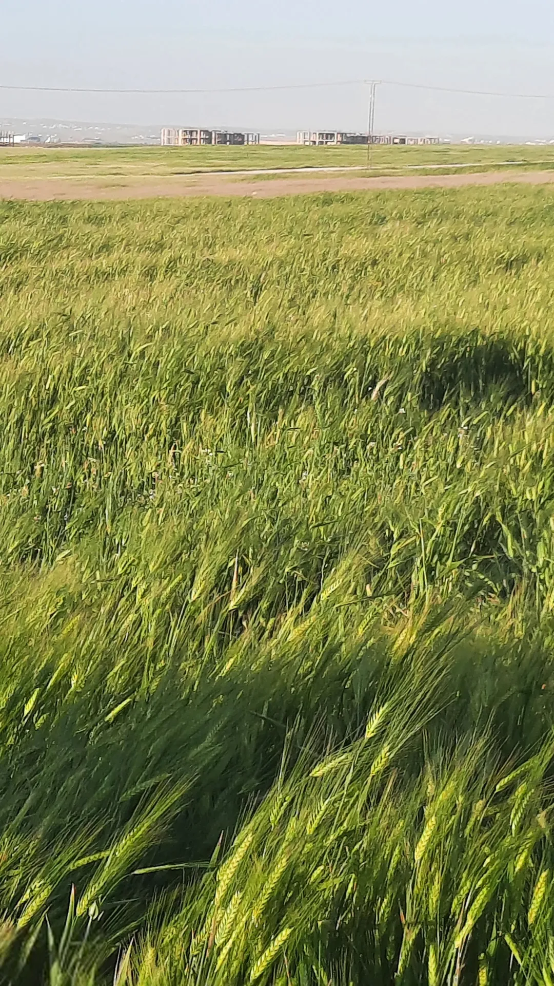 ارض للبيع طريق المطار /الجيزه حوض الموارس
