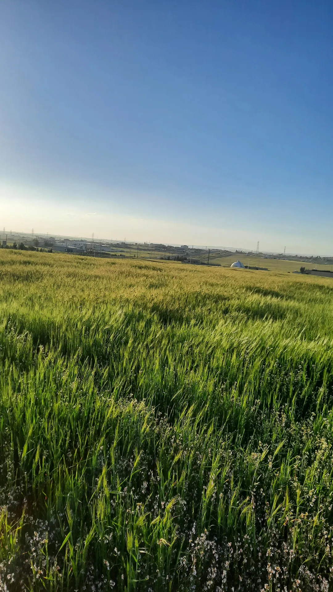 ارض للبيع طريق المطار /الجيزه حوض الموارس