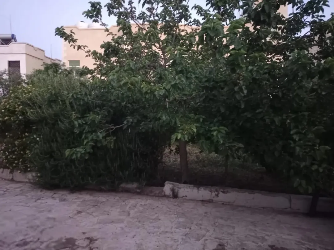 منزل مستقل للبيع في سلحوب – جرش بإطلالة طبيعية خلابة