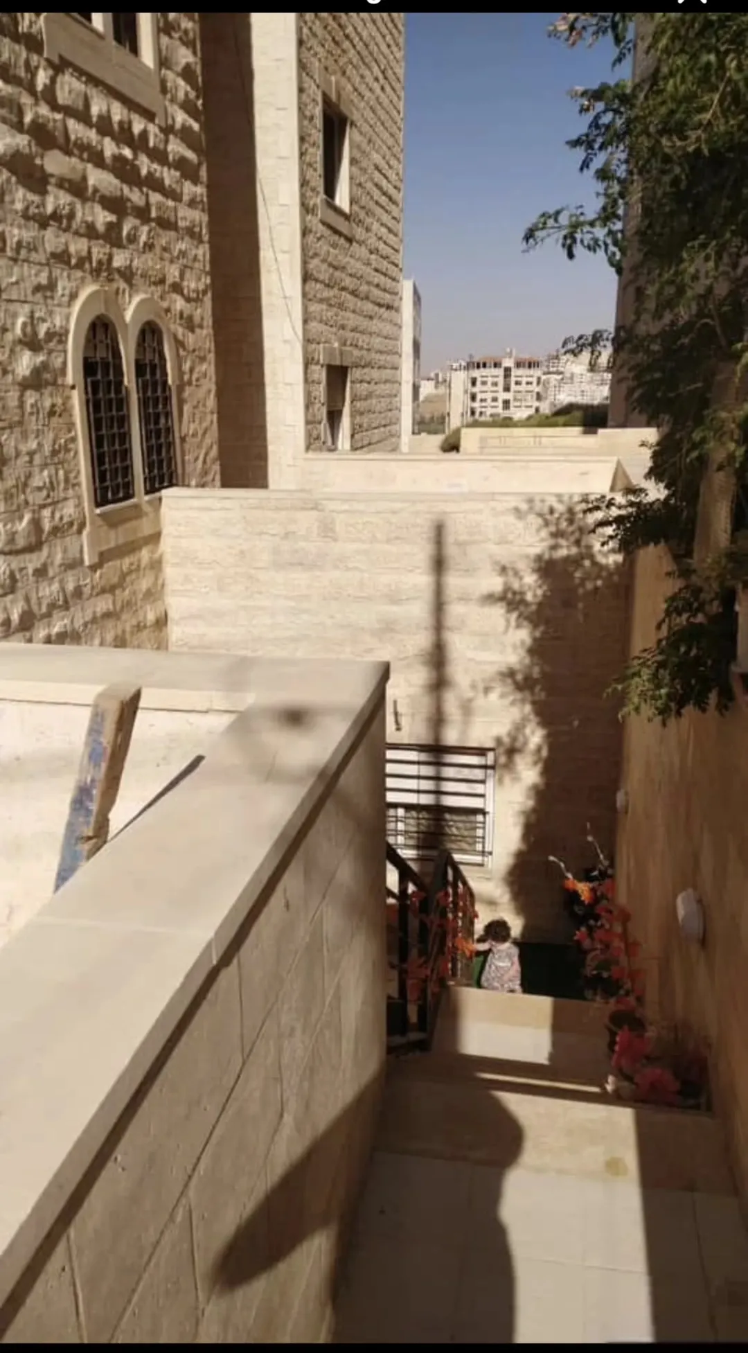 شفه بشفا بدران