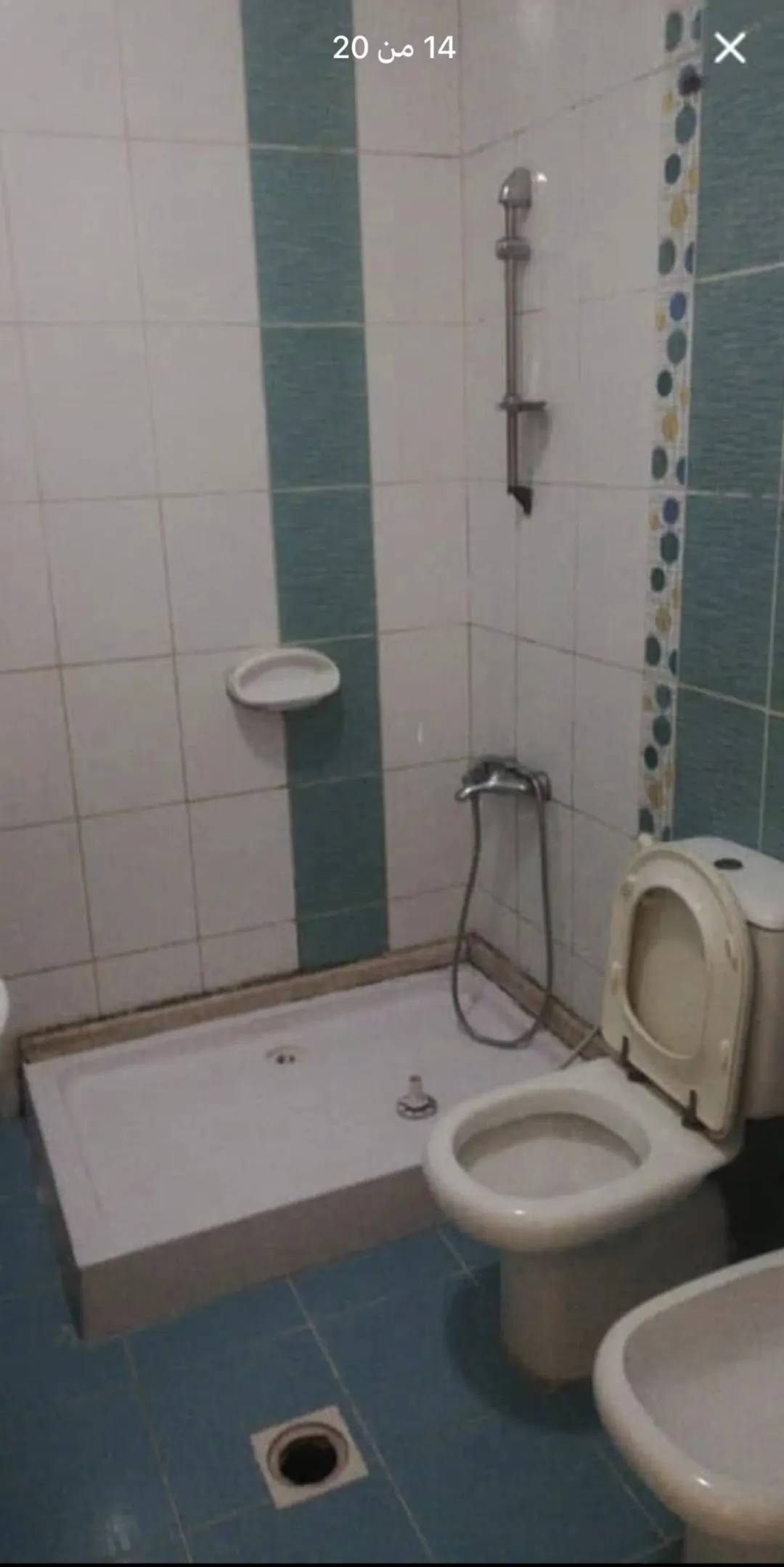 شفه بشفا بدران