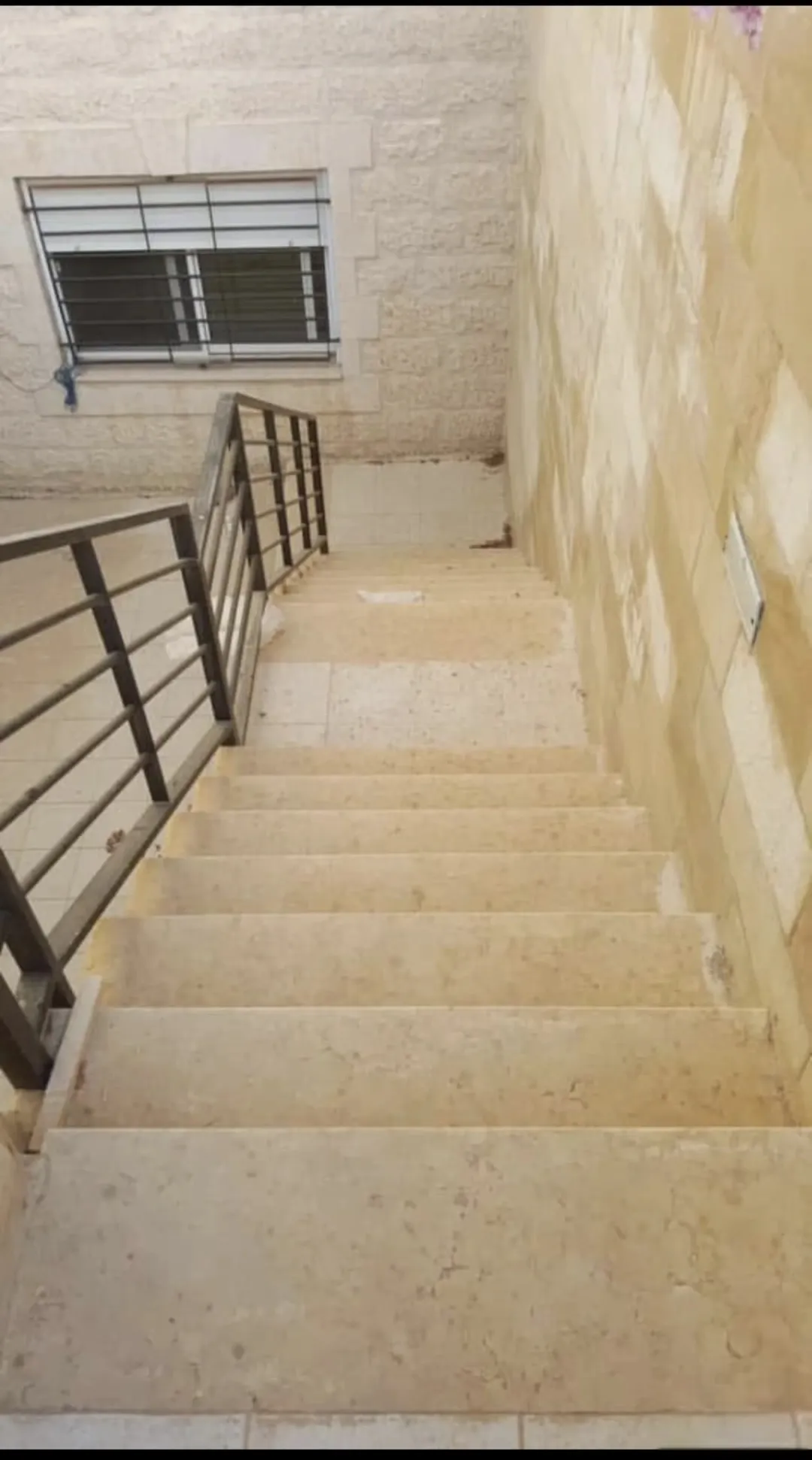 شفه بشفا بدران