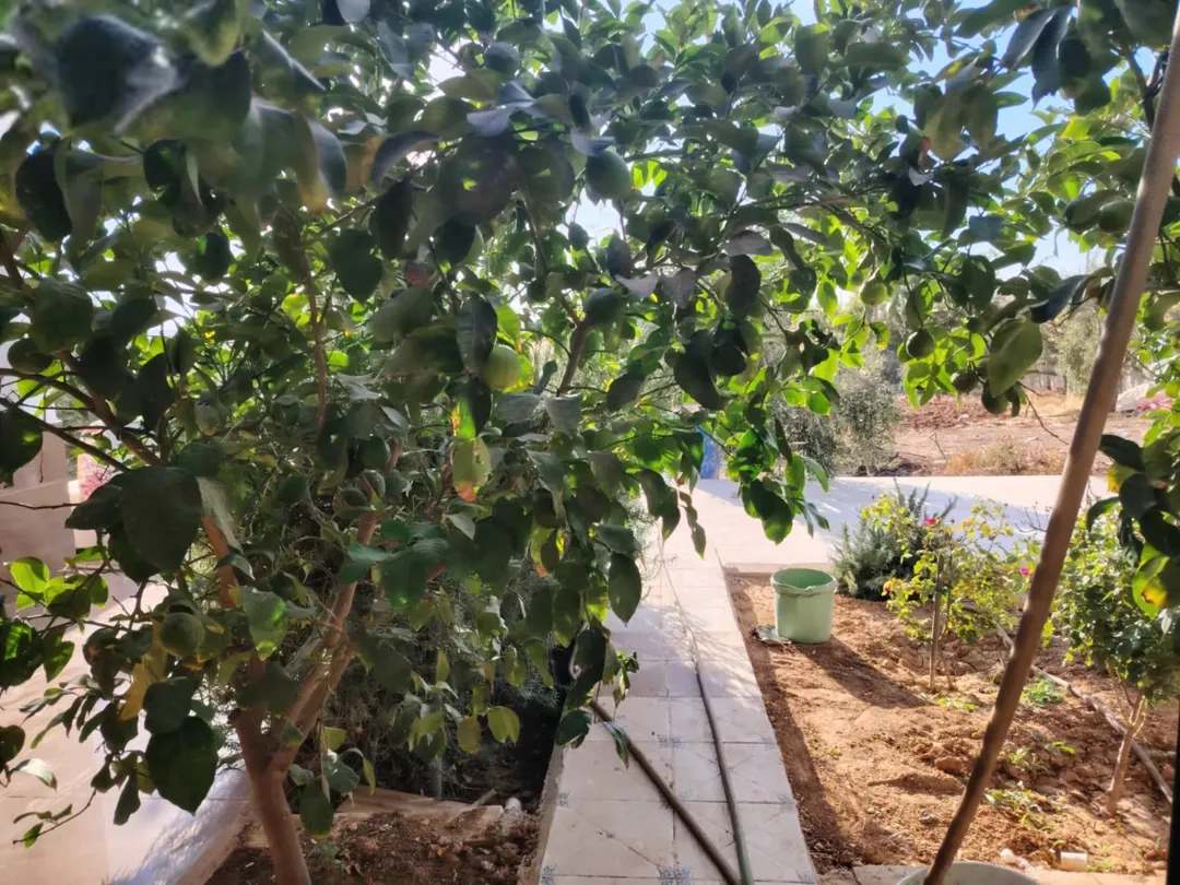 مزرعة للبيع