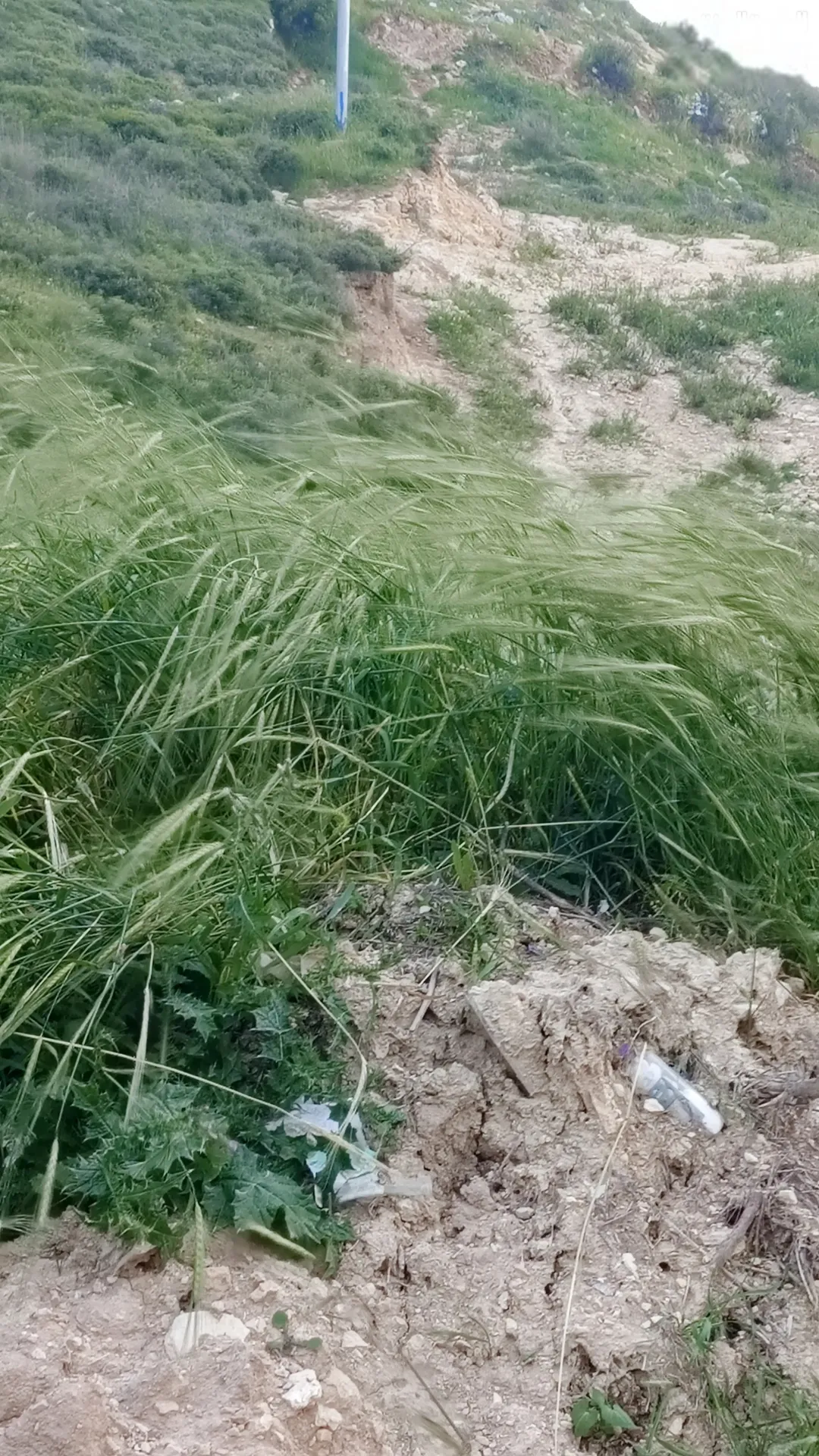 قطعة أرض مثالية 2026