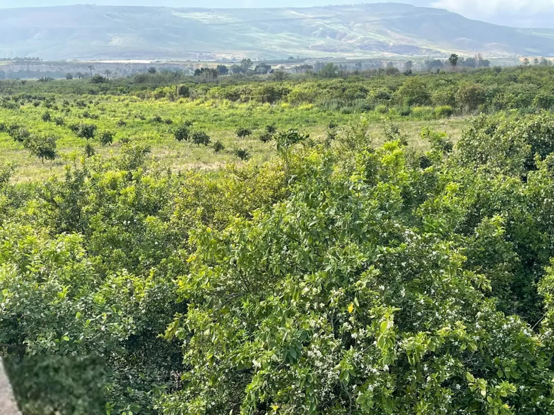 بياره للبيع وقابل للتفاوض للجادين