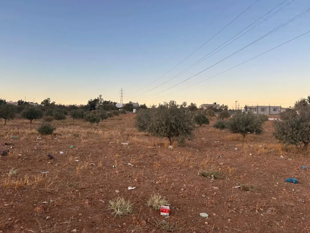 ارض زراعية سكنية مفروزة ، كوشان منفصل في بلعما – المفرق // 3731 متر