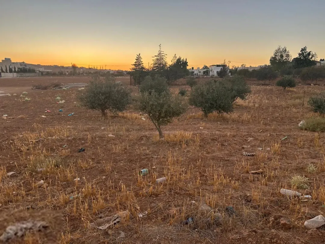 ارض زراعية سكنية مفروزة ، كوشان منفصل في بلعما – المفرق // 3731 متر