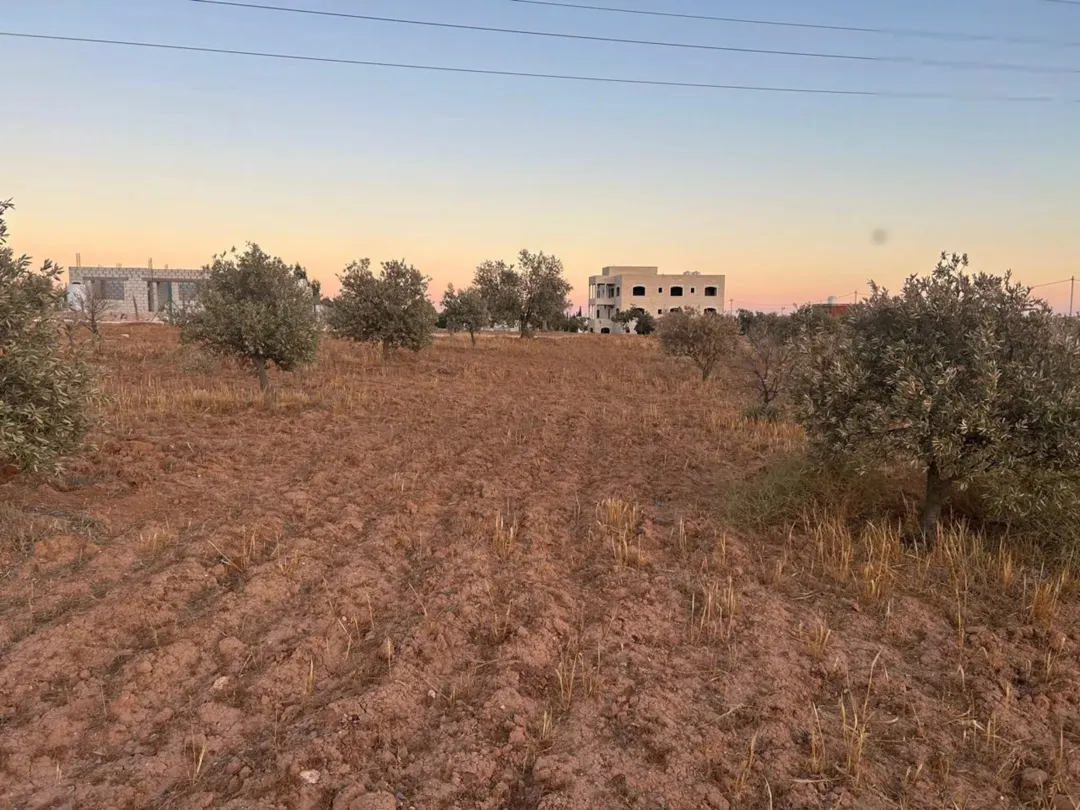 ارض زراعية سكنية مفروزة ، كوشان منفصل في بلعما – المفرق // 3731 متر