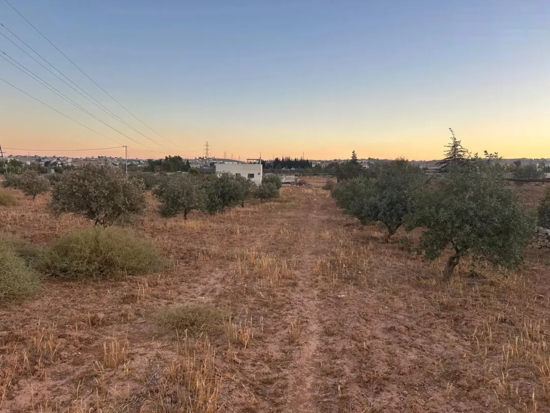 ارض زراعية سكنية مفروزة ، كوشان منفصل في بلعما – المفرق // 3731 متر