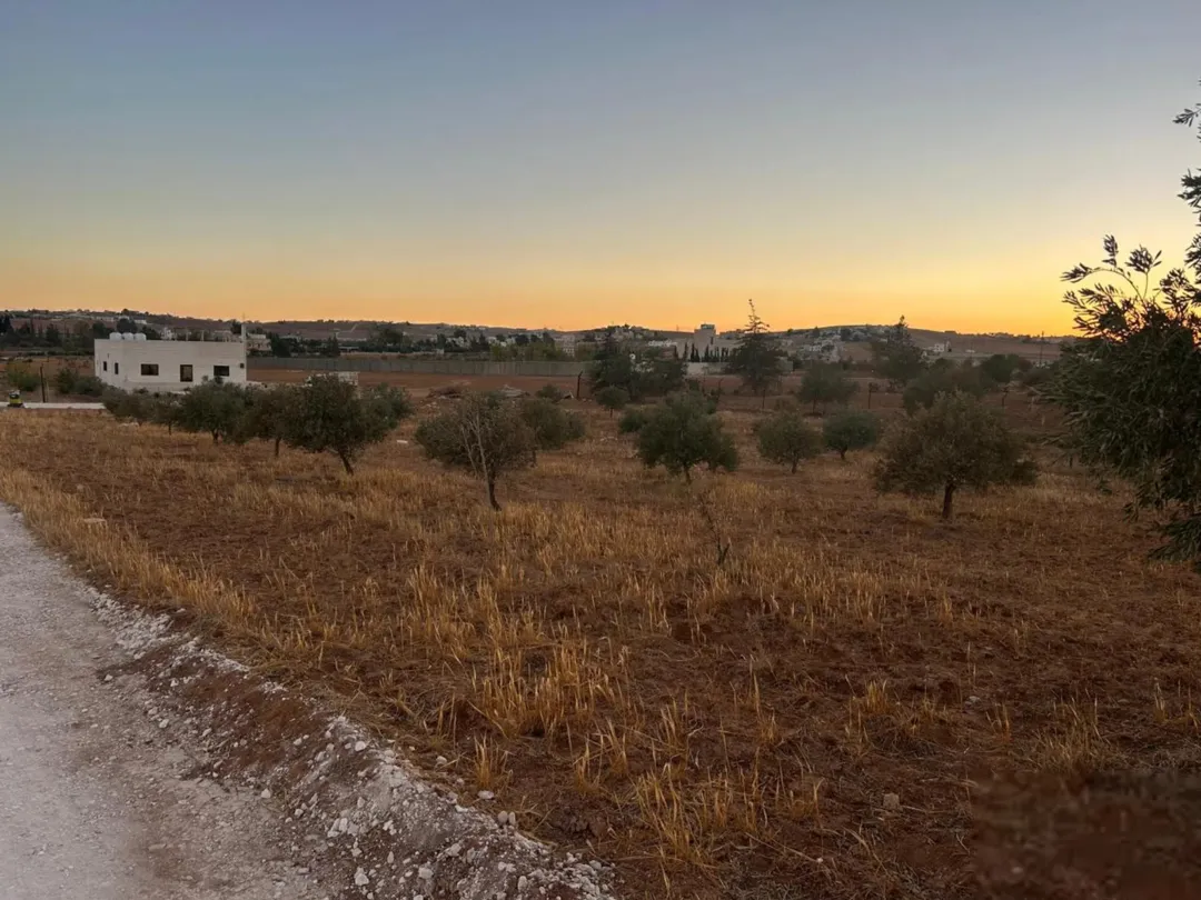 ارض زراعية سكنية مفروزة ، كوشان منفصل في بلعما – المفرق // 3731 متر