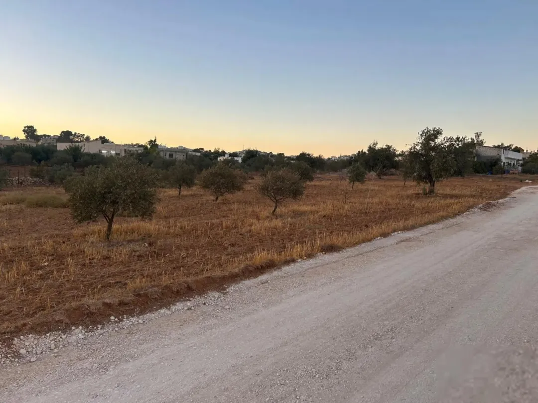 ارض زراعية سكنية مفروزة ، كوشان منفصل في بلعما – المفرق // 3731 متر