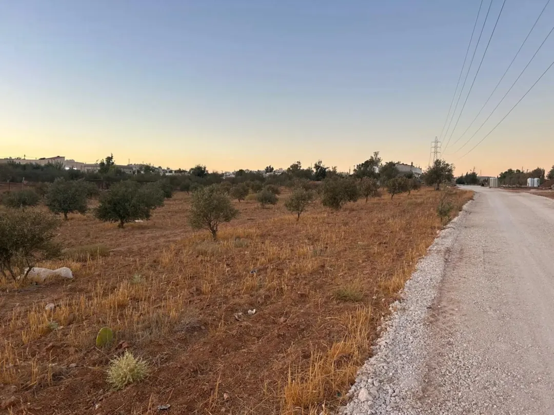 ارض زراعية سكنية مفروزة ، كوشان منفصل في بلعما – المفرق // 3731 متر