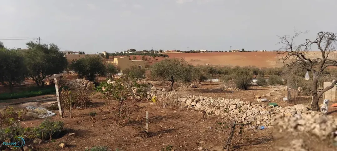 اراضي للبيع