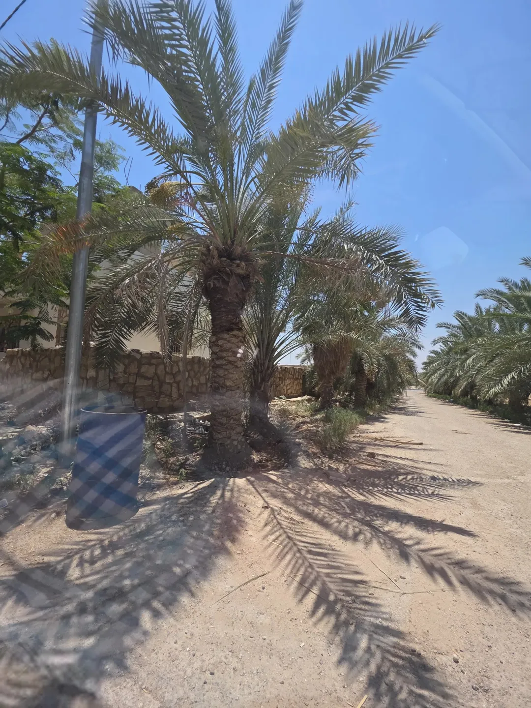 منزل للبيع في منطقة السكنة – الشونة الجنوبية