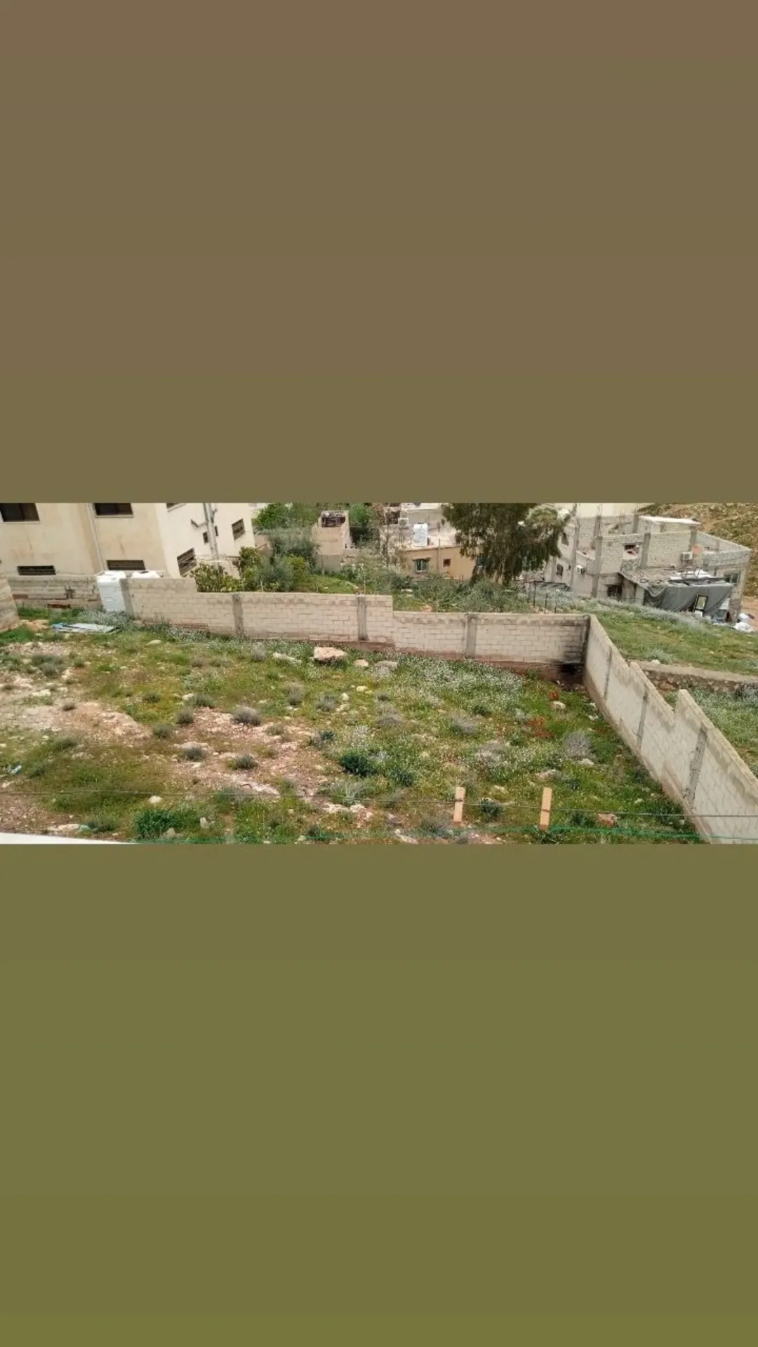 ارض مساحتها 500 متر مربع ، مسوره ، جاهزه للبناء ، للبيع في الزواهرة